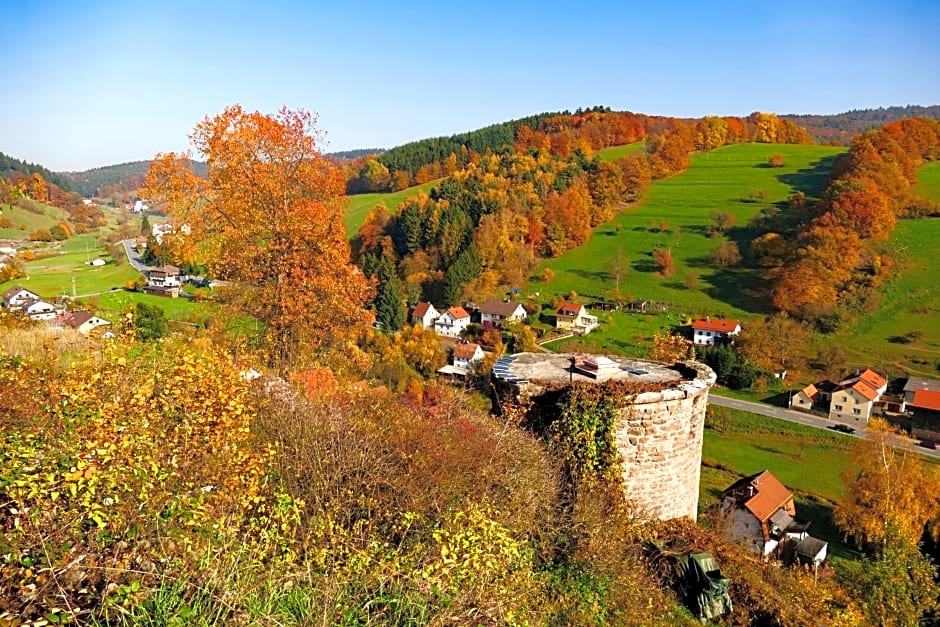 Hotel Grüner Baum mit Restaurant & Wellness