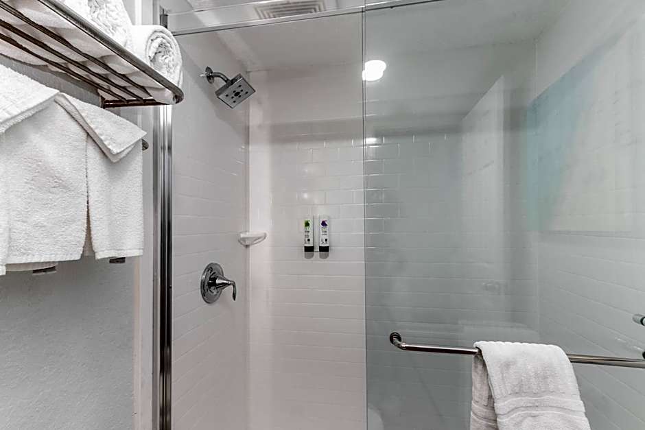 Winter the Dolphin's Beach Club, Ascend Hotel Collection