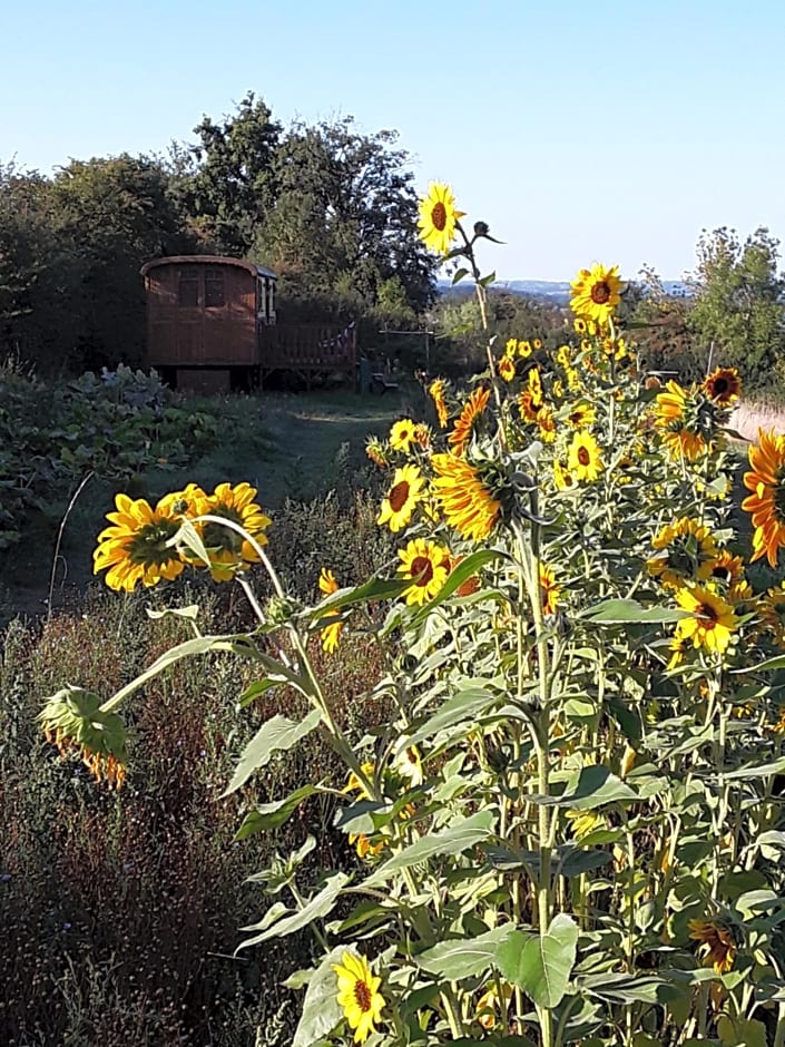 la roulotte de l'ami nature