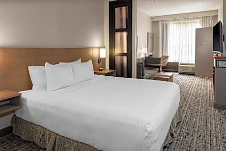 Accessible King Bed/Roll-In Shower (with sofa bed)