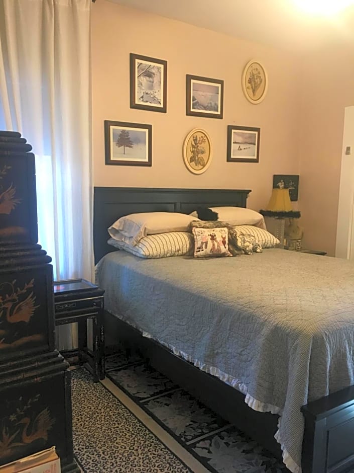 Dresden B & B