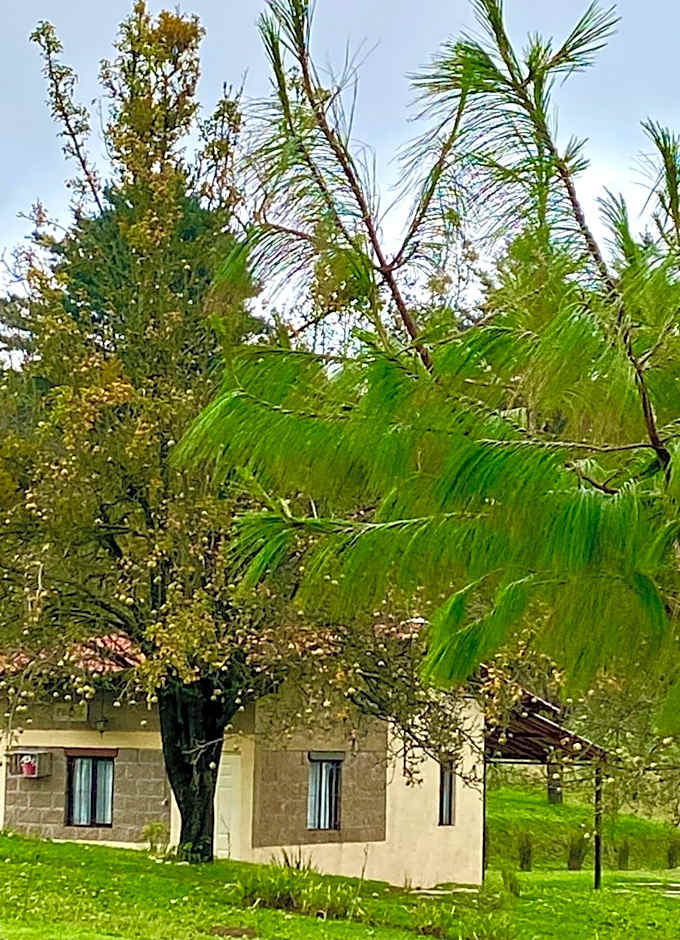 Cabañas Huerta la Mision, Zacatlán