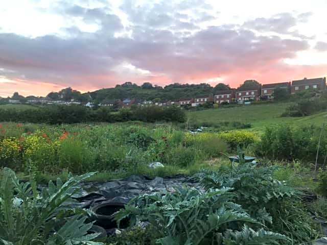 Healing Waters Sanctuary, Peaceful Retreat House, Glastonbury