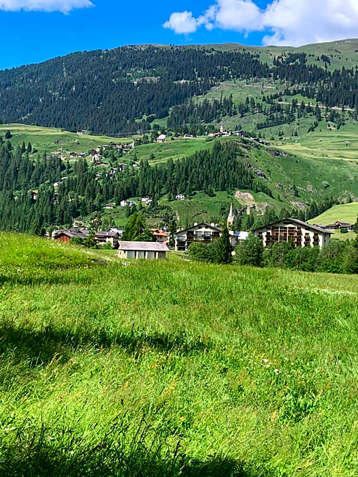 Bed and Breakfast Darlux