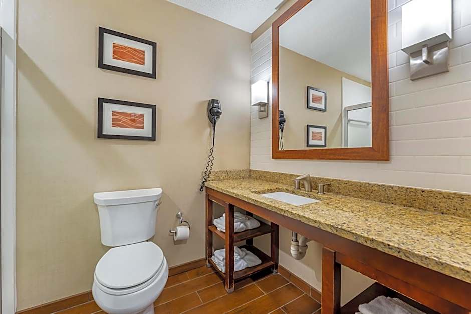 Comfort Inn & Suites Triadelphia - Wheeling