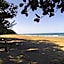 Daintree Crocodylus