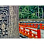 Yuuai Kumanokan - Vacation STAY 27598v