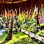 Gili Land