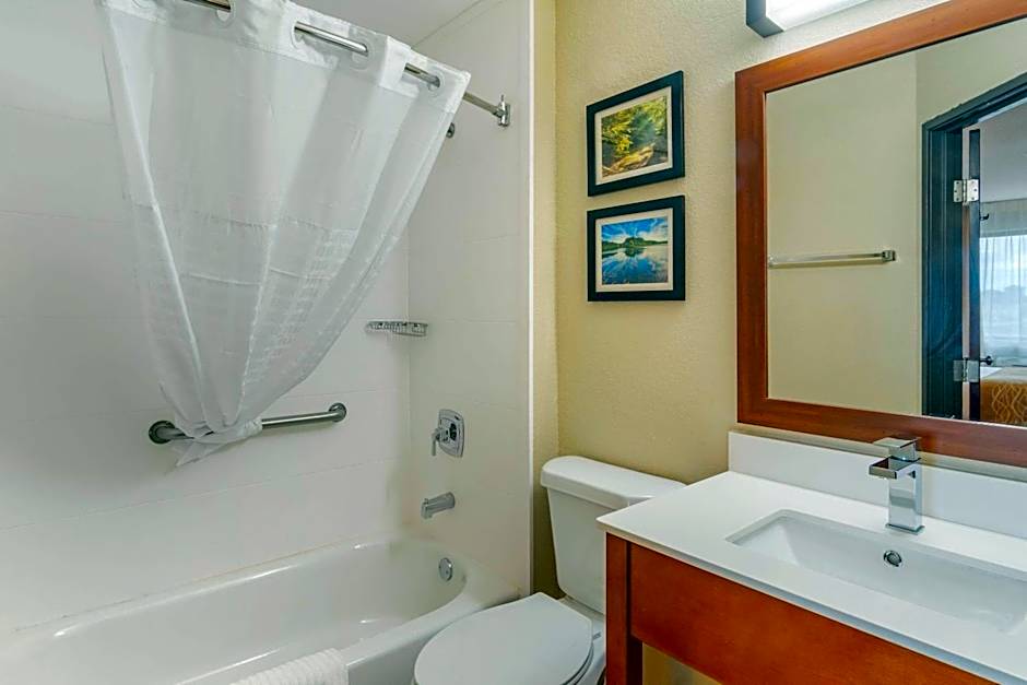 Comfort Inn & Suites South Hill I-85