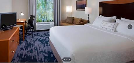 Single King Room, Guest room, 1 King, Sofa bed