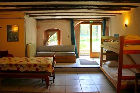 Single Bed in Mixed Dormitory Room