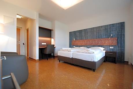 Deluxe Double or Twin Room "Ludwig Zack"