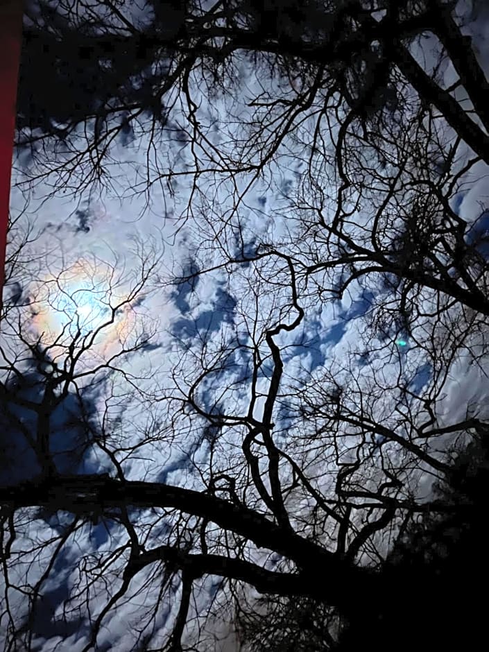 Spreewaldhotel Leipe