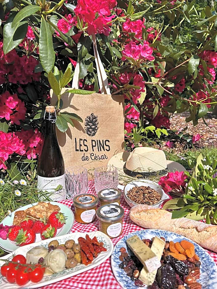 Les Pins de César - La campagne d'Etretat
