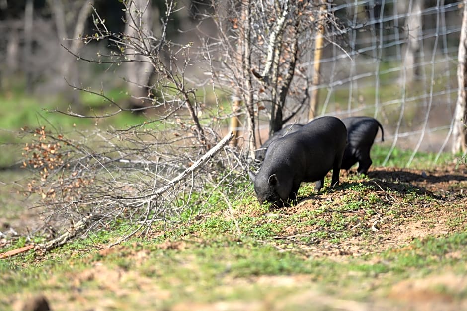 Quinta Da Samoqueirinha