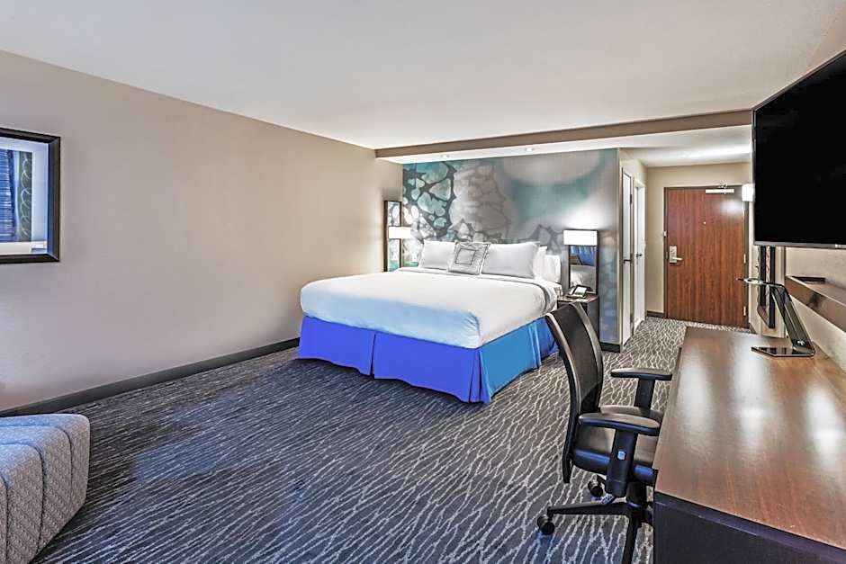 Photo 1 of 6 of 1 King Bed with Sofabed, Mobility Accessible, Roll in Shower