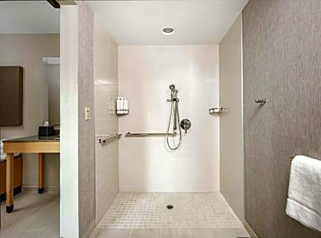 King Room with Sofa Bed and Roll-In Shower - Disability Access