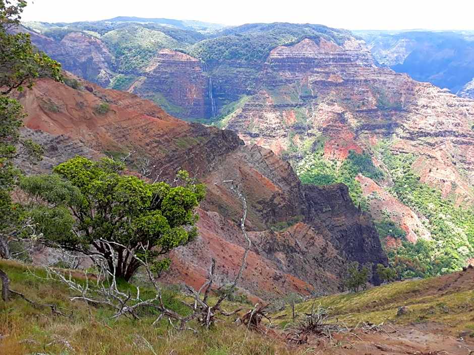 Kiahuna Plantation 96, Poipu Beach, Club Membership, Part Ocean View, Kids Toys