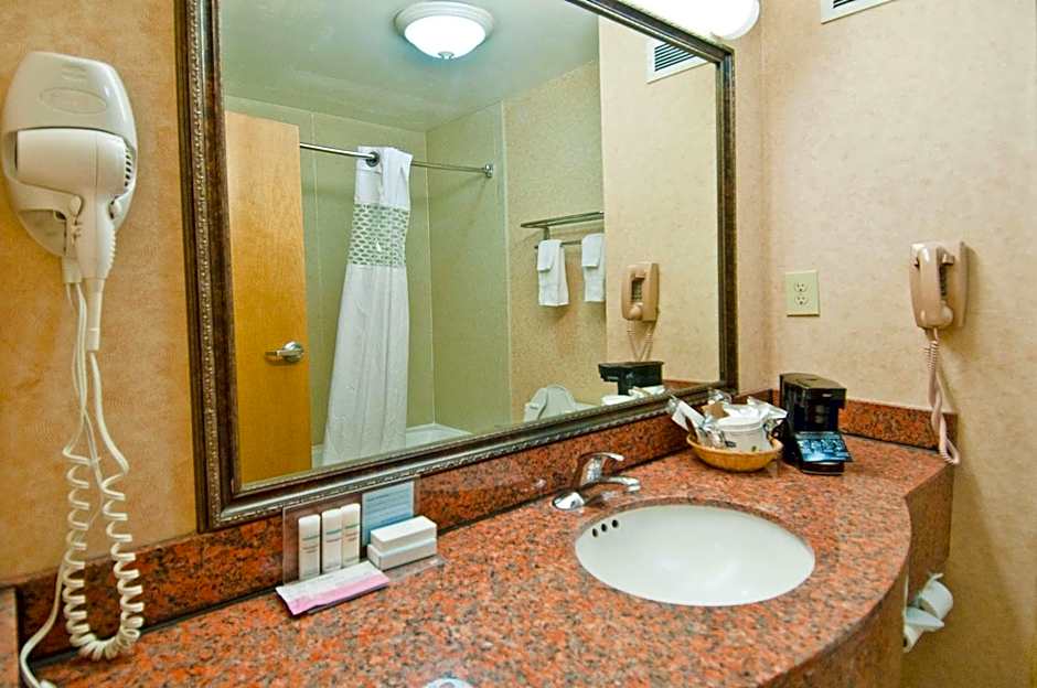 Hampton Inn By Hilton Lafayette, LA (West Willow St)