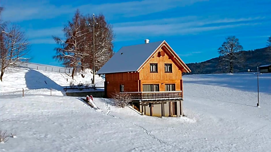 Ferienhaus Lärchenhütte