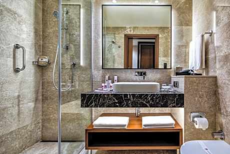 Superior Double or Twin Room with City View