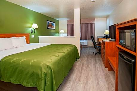 King Room - Pet Friendly/Non-Smoking