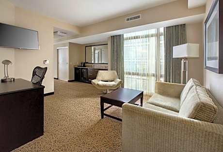 Junior King Suite with Sofa Bed
