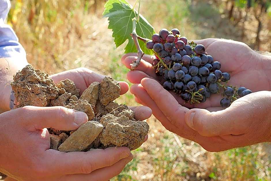 TerraVita Winery & Boutique Apartments