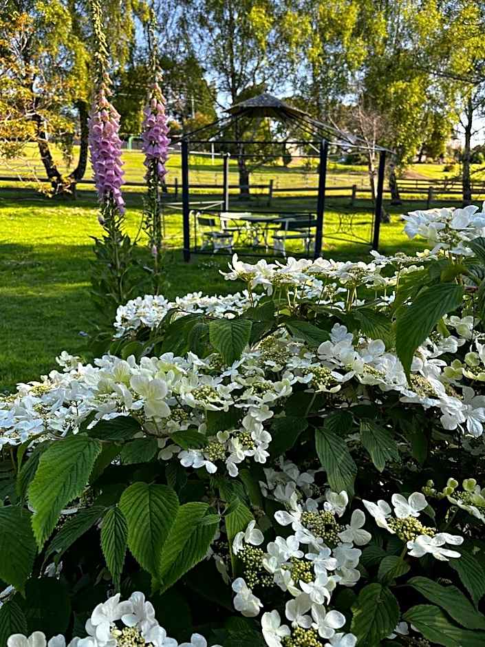 Green Gables B&B Waterfront Apartment or Garden Studio