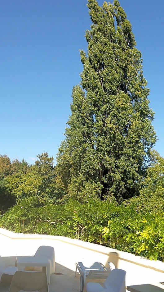 Le Manoir du coeur volant B&B