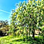 Agriturismo Podere Farnesiana