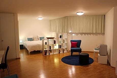 A Casa Fina- a modern room close to Basel
