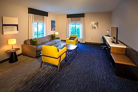 One-Bedroom King Suite with Sofa Bed