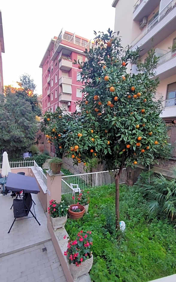 VATICAN GREEN GARDEN