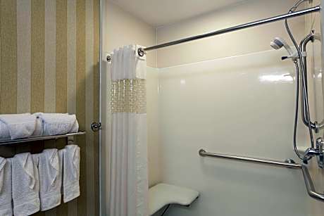 1 King Mobility Access Shwr W/Sofabed Nonsmok