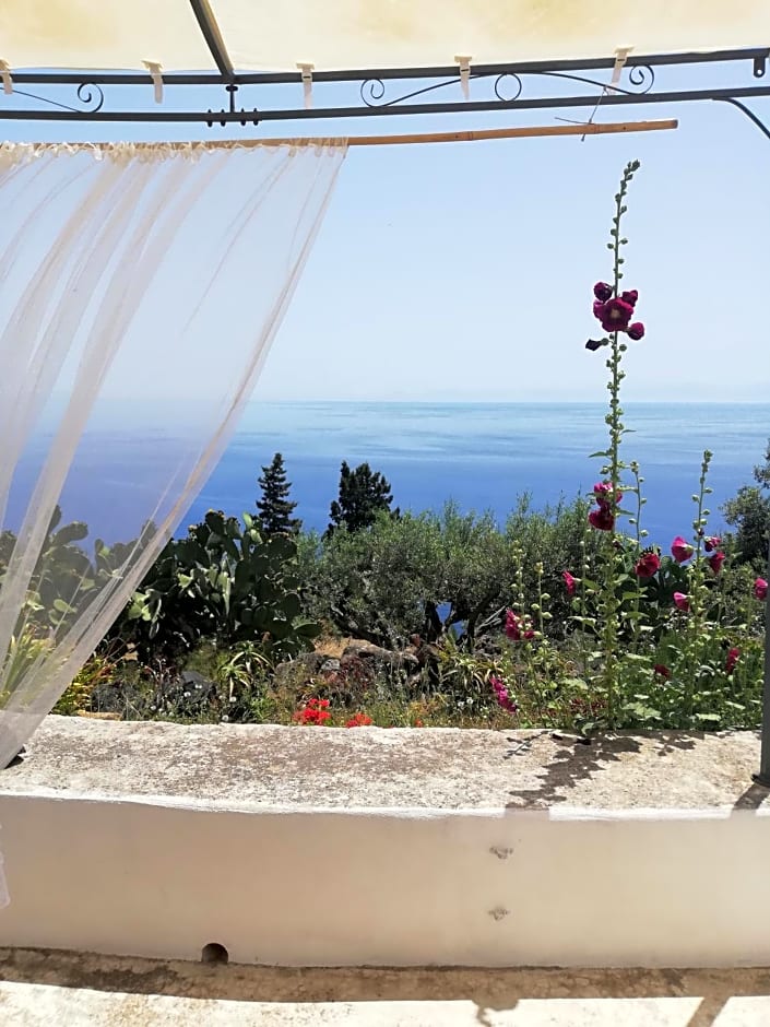 Alicudi Giardino dei Carrubi- al gradino 365