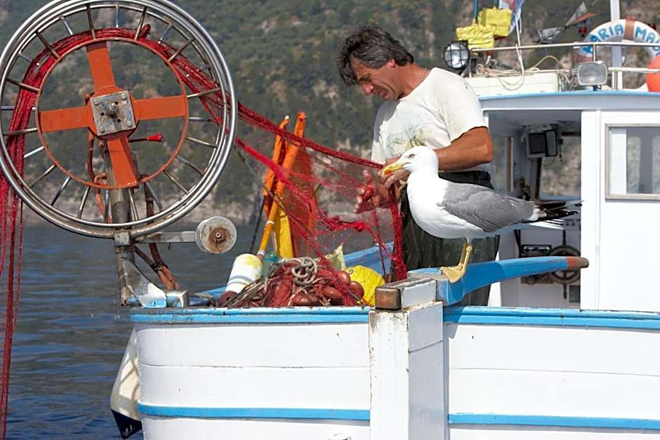 Taverna Del Capitano