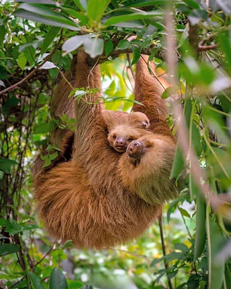 Makanda by The Sea Hotel Adults Only