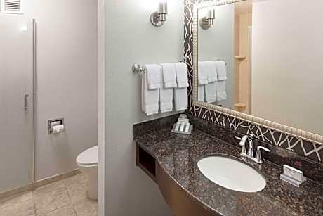 1 King Bed With Sofabed