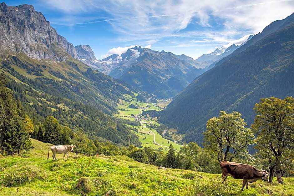 Gadmer Lodge - dein Zuhause in den Bergen