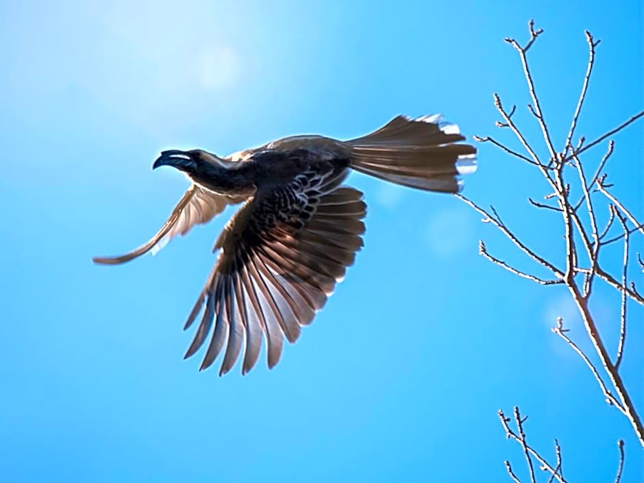 Kloofzicht Lodge & Spa