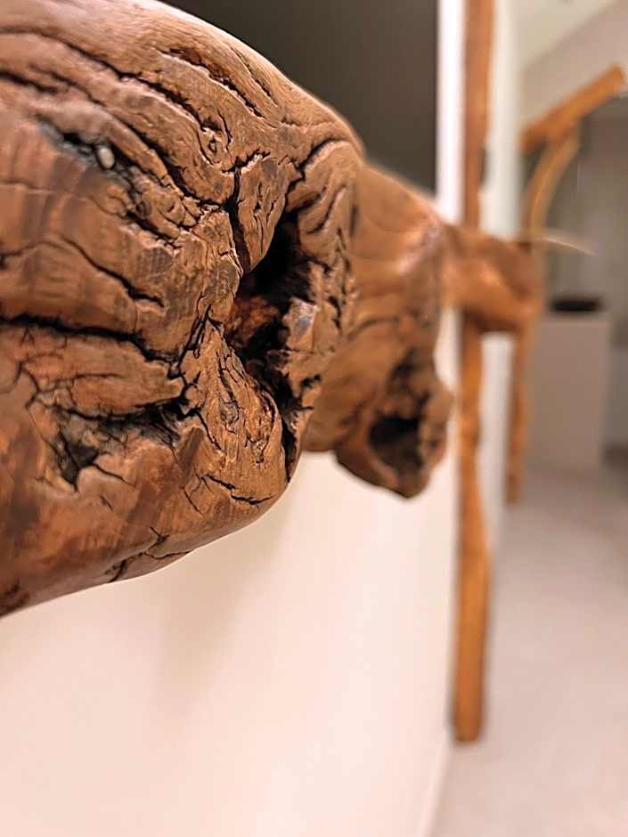 Tamarin & Capucin Suite Balnéo