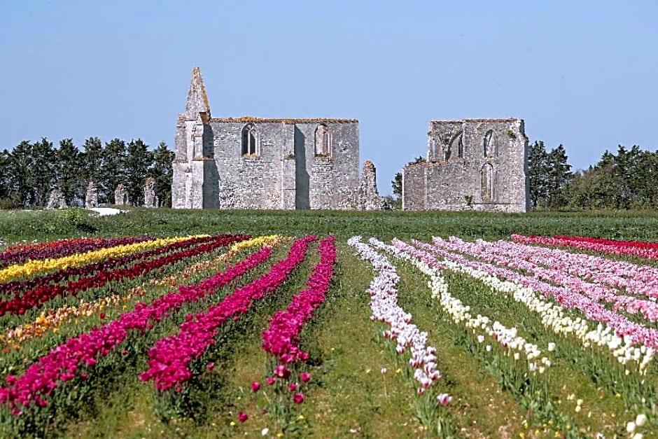 La Passerose 3 pièces avec jardin au calme,à 300m de la plage,