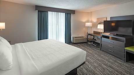 King Room with Sofa Bed