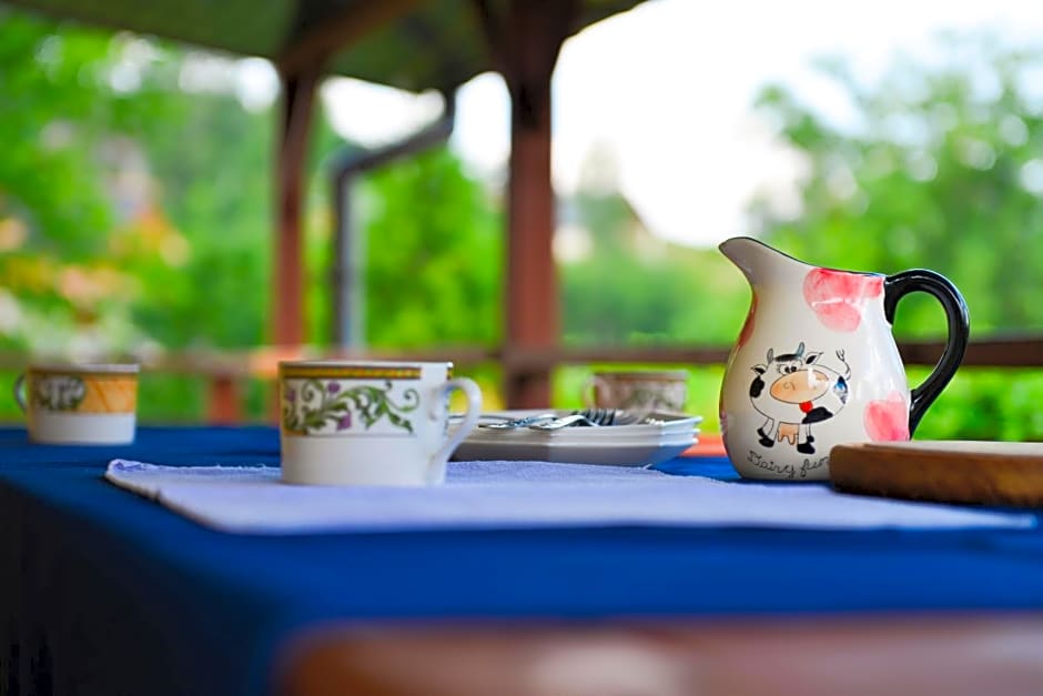 Domek nad jeziorem, Kalinówka w Olchowcu, Solina