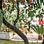 Antica Casina B&B di Charme
