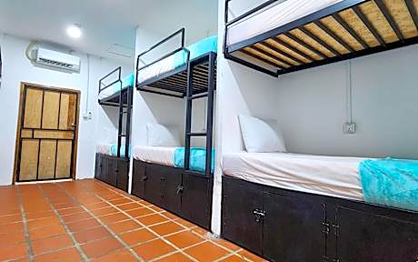 Bunk Bed in Female Dormitory Room
