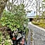 Shikinosato Hanamura