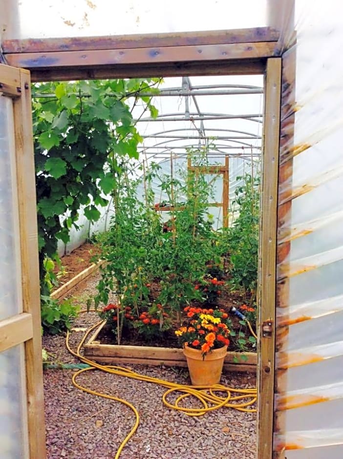 Holland House F94DP26