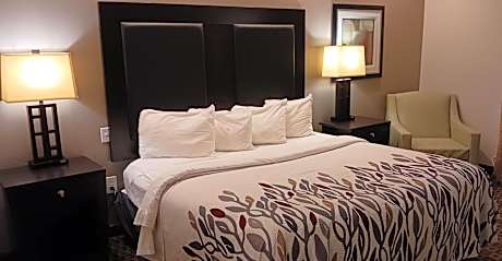 Superior King Room Disability Access Non-Smoking